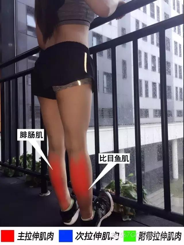 教练帮学员做拉伸动作教学,女教练教拉伸