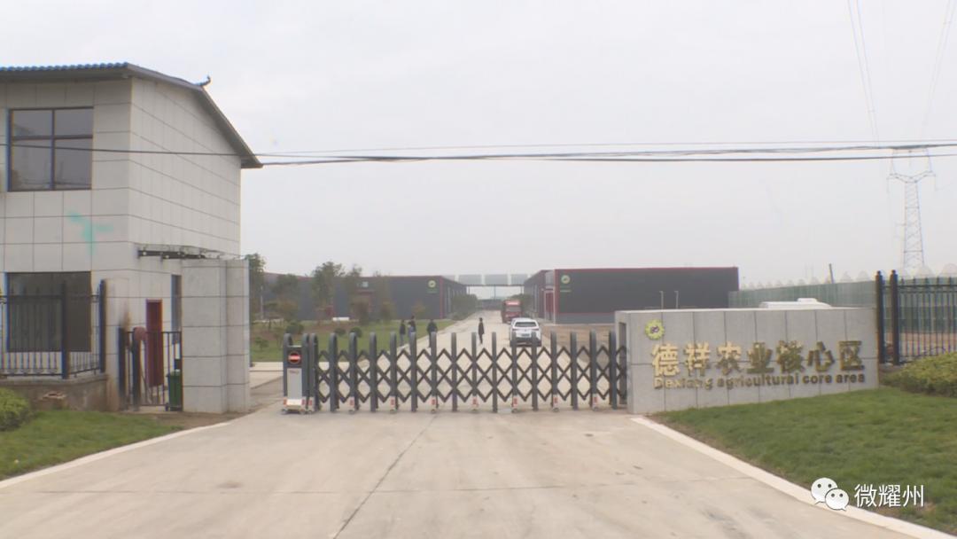 德祥实业食用菌生产加工,德祥香菇