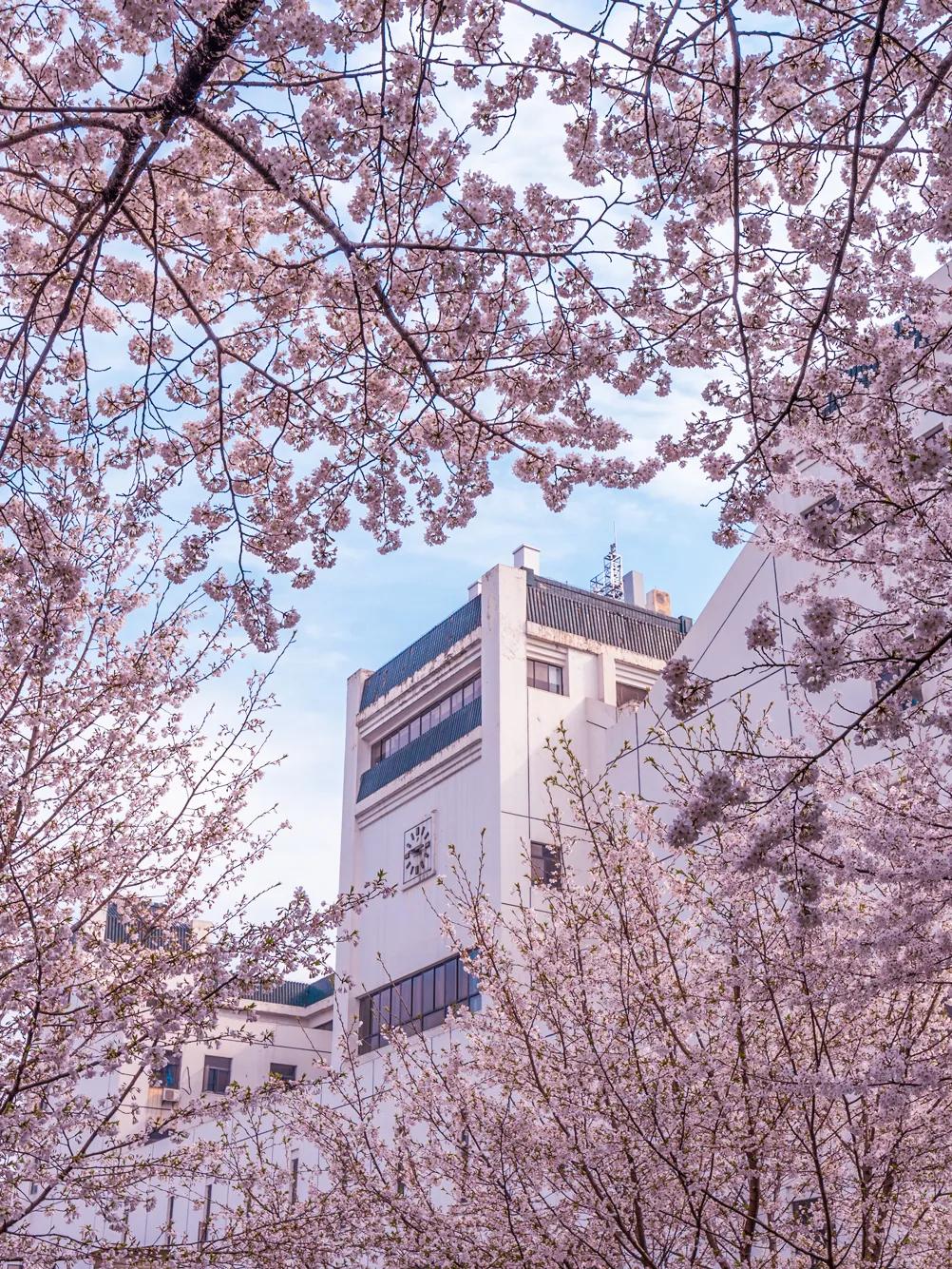 什么是湖北接触史,什么是湖北女生