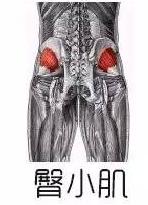 翘臀的标准是臀部肌肉紧实有力,扁平臀练出翘臀用什么器械最有效