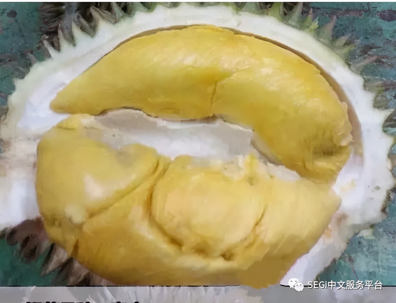 马来西亚的榴莲有啥品种,马来西亚榴莲有几种