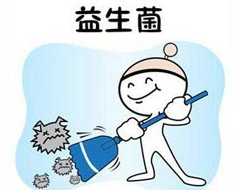 狗狗干燥吃点什么好呢,狗狗大便干燥解决方法