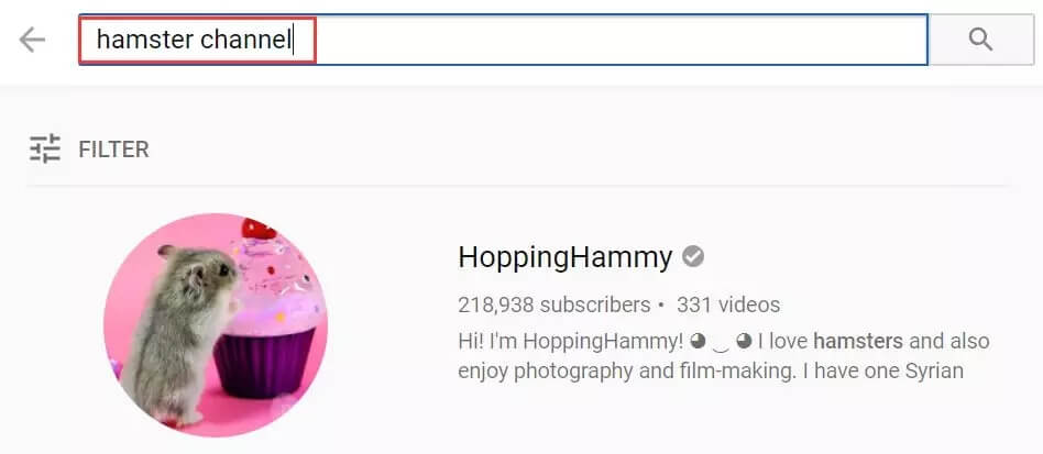 youtubeseo课程,youtube做seo