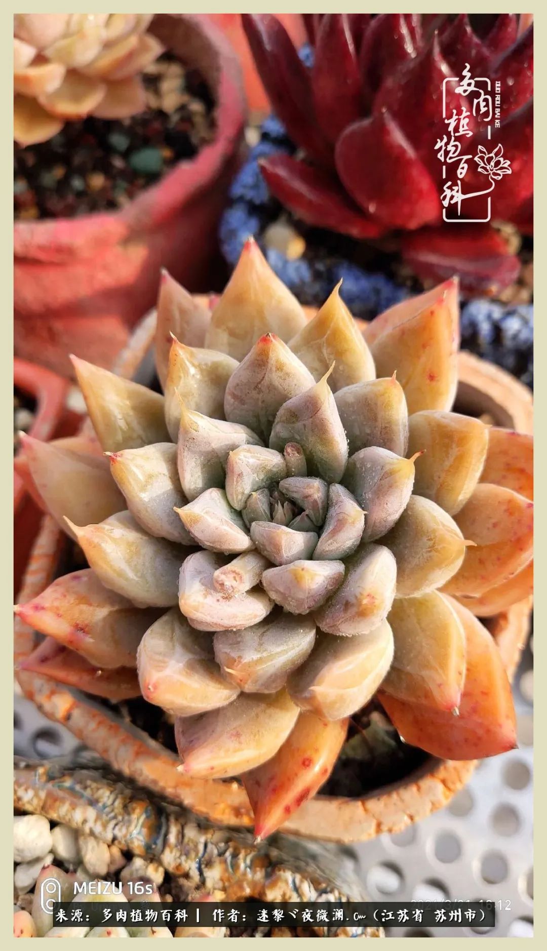 秋尽冬来岁月不居时节如流,岁月不居时节如流水