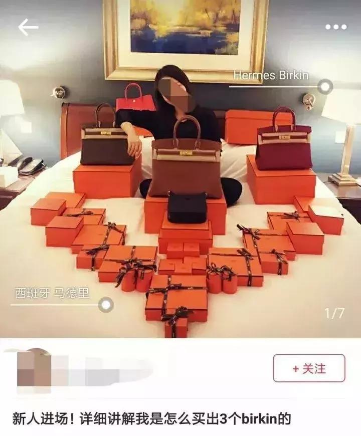 老佛爷的猫继承多少遗产,老佛爷去世了猫继承了多少遗产