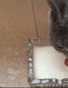 把车标全部抠掉违法吗,把车标抠下来清灰