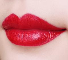 一个精致猪猪的女孩,一个精致的猪猪女孩