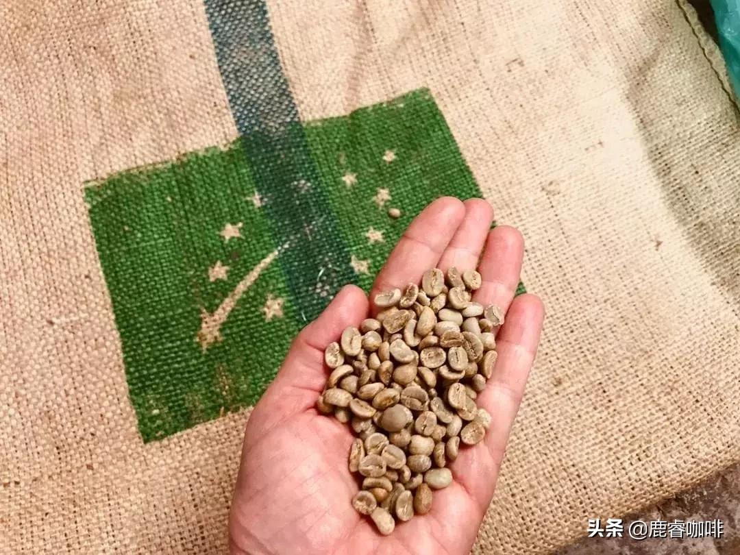 中美产量第一，为何感觉我们都不常见到洪都拉斯咖啡？