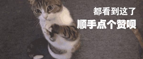 猫来穷狗来富有用吗,猫来穷狗来富真正的意义是什么