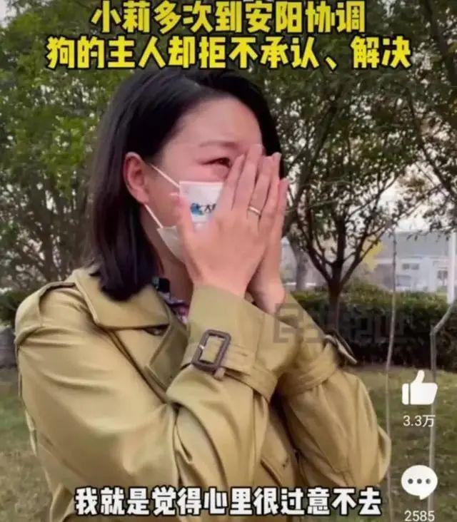 新华社五问安阳狗咬人事件,央视评论安阳狗咬人事件反转
