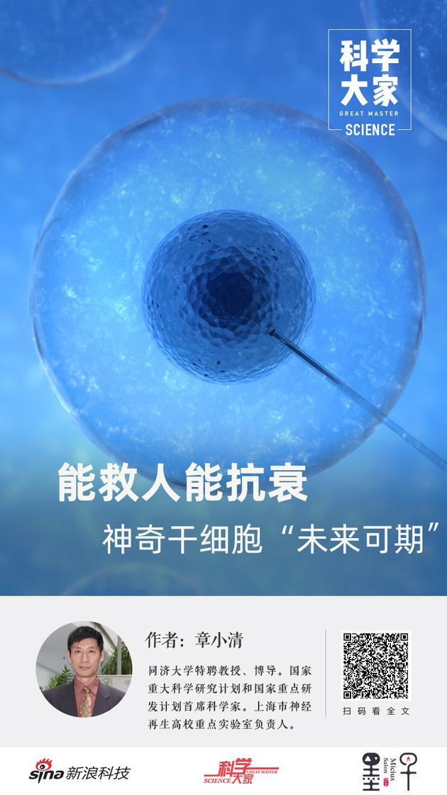 能抗衰的干细胞,干细胞抗衰的潜力