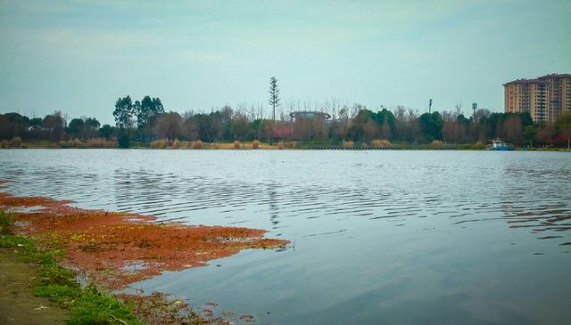 坐拥“中优”“南拓”双红利！