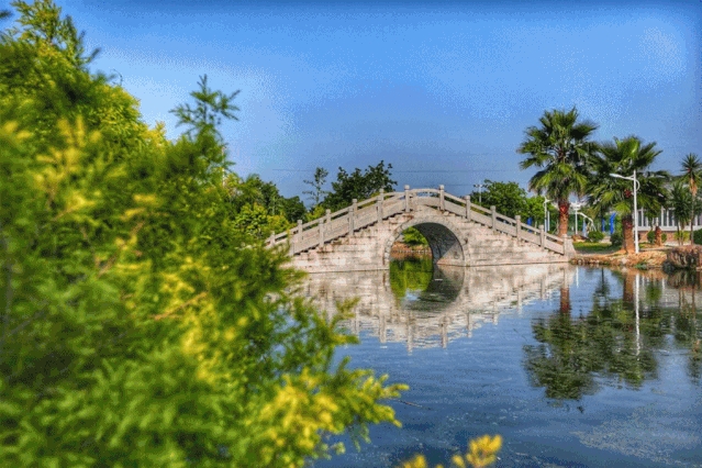 厦门东海职业技术学院,厦门东海职业技术学院的校花