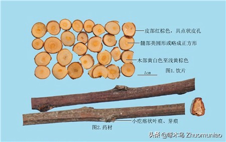 【清风典历】学如不及,犹恐失之