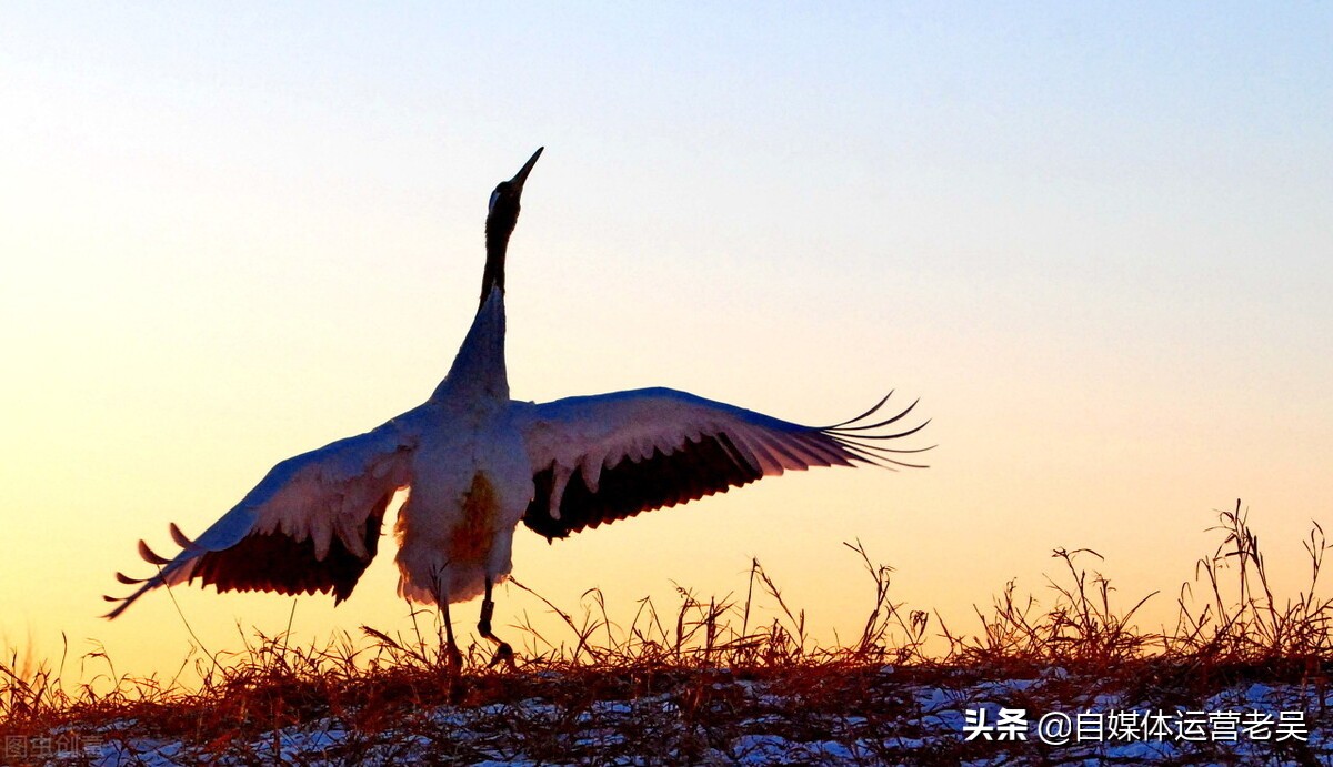 投资门槛一般多少钱,投资多少钱出手就会暴利