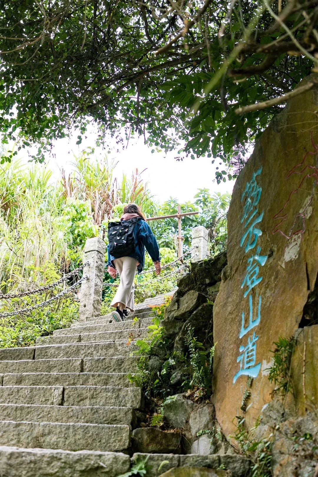 深圳地铁7号线有什么好玩的,深圳地铁十四号线游玩攻略
