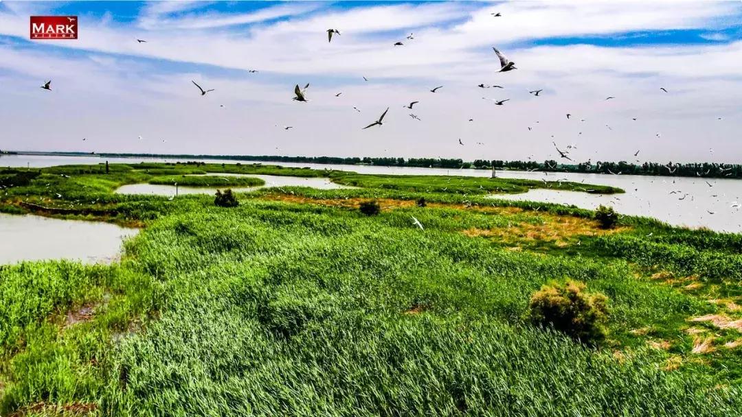 鎴戠埍鎴戝鎴垮瓙灏忓尯,鎴戠埍鎴戝闇稿窞鎴垮瓙