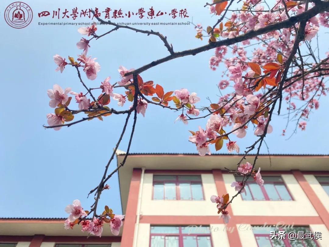 孩子开学生活步入正轨视频,开学后的校园生活