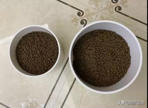 go猫粮吃了拉黄水,go猫粮吃了会黑下巴吗