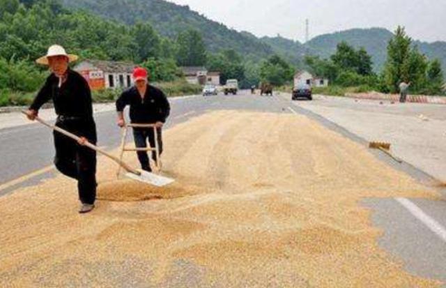 在路上晒粮食车子压着违法吗,开车遇到大车压过的路面