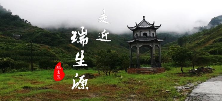 【跟着特产去旅行】酒类：瑞生源杨梅酒，古树酿新酒