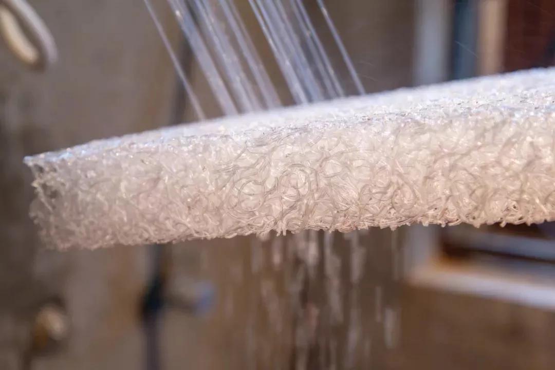 在日本生活10天是什么的体验,日本给世界带来惊喜