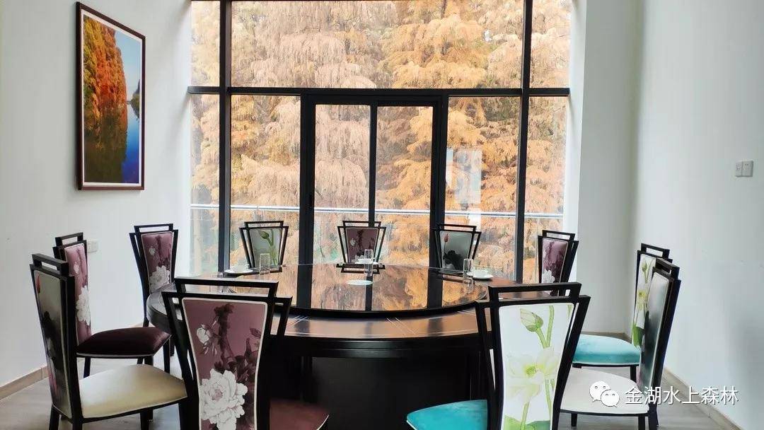 亲子游推荐地金湖水上森林景区,金湖水上森林景区攻略视频