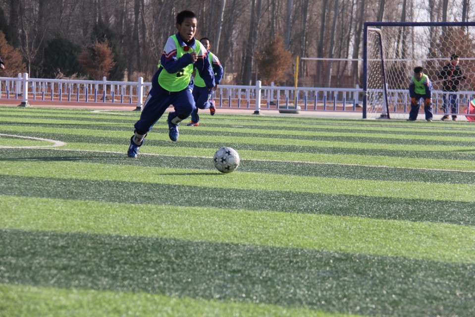 临泽县新华镇中心小学足球联赛,甘肃省临泽县板桥中心小学