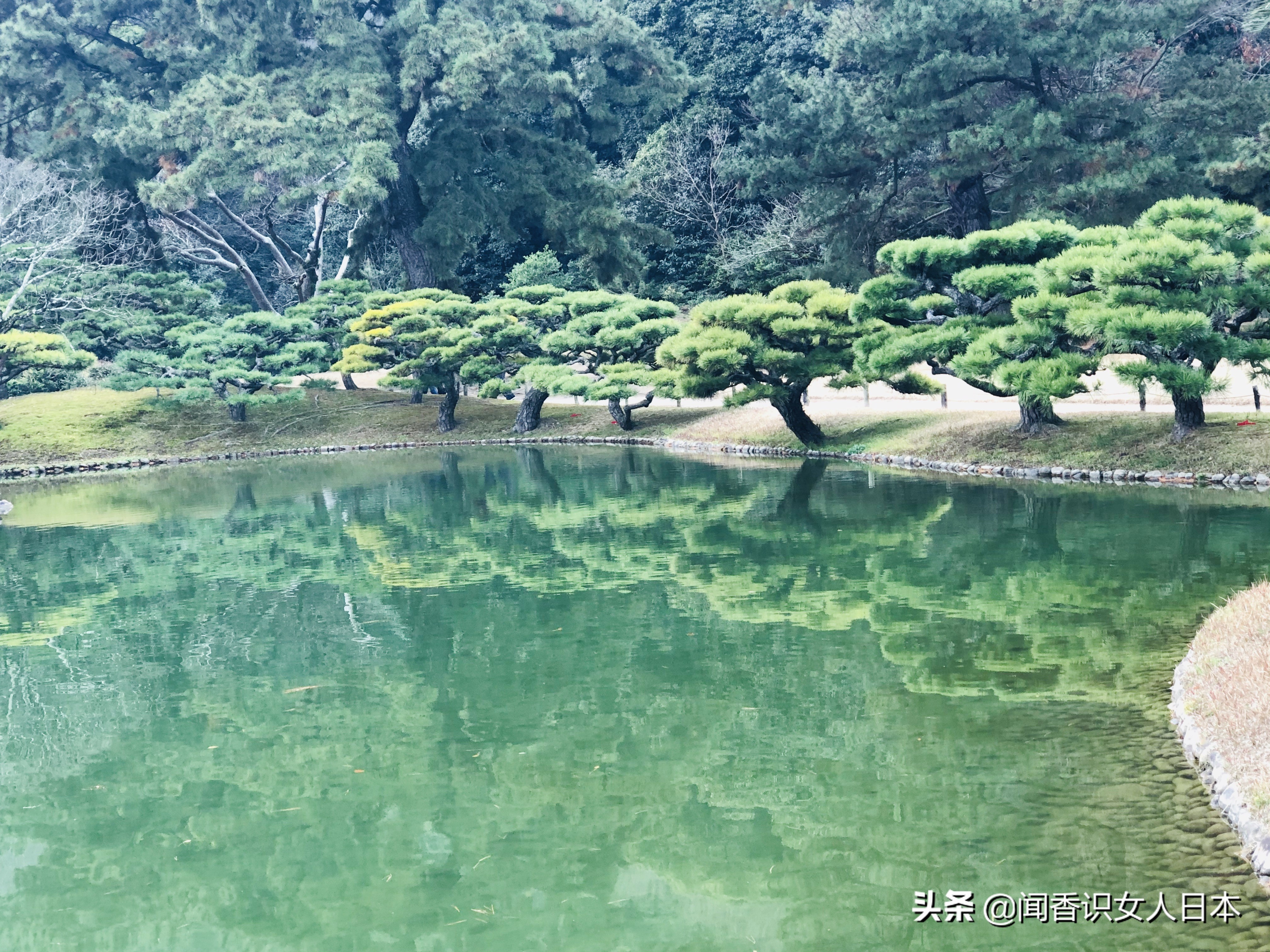 日本的米其林三星餐厅,日本米其林三星参观