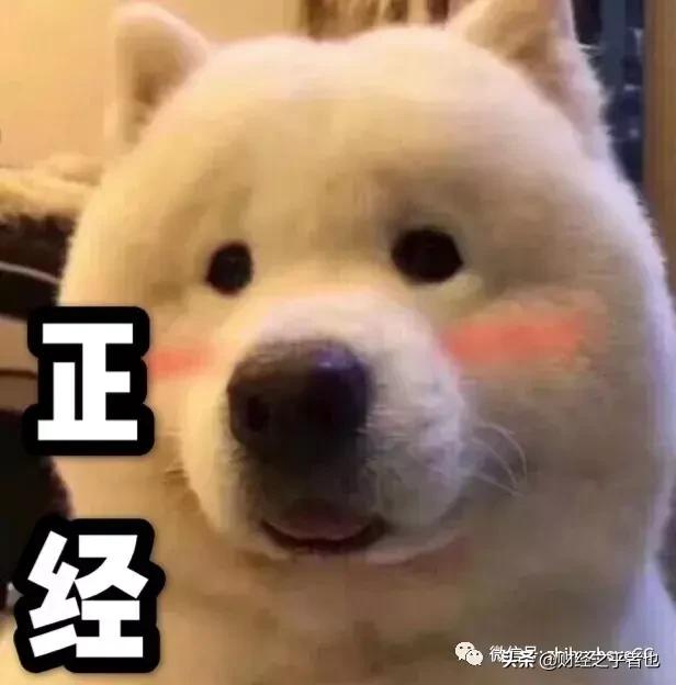 立夏初次见面视频,立夏和好朋友