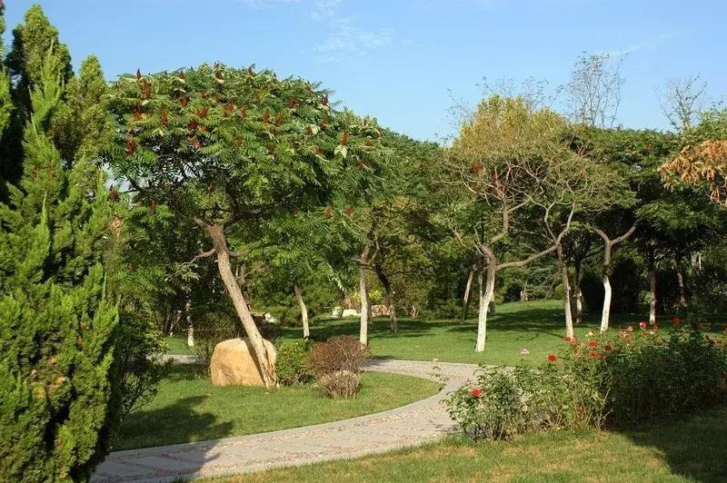 寸土寸金公园,天津值得一去的公园