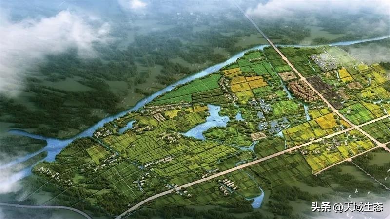 杭州市首届海内外农创客大赛,农创客大赛