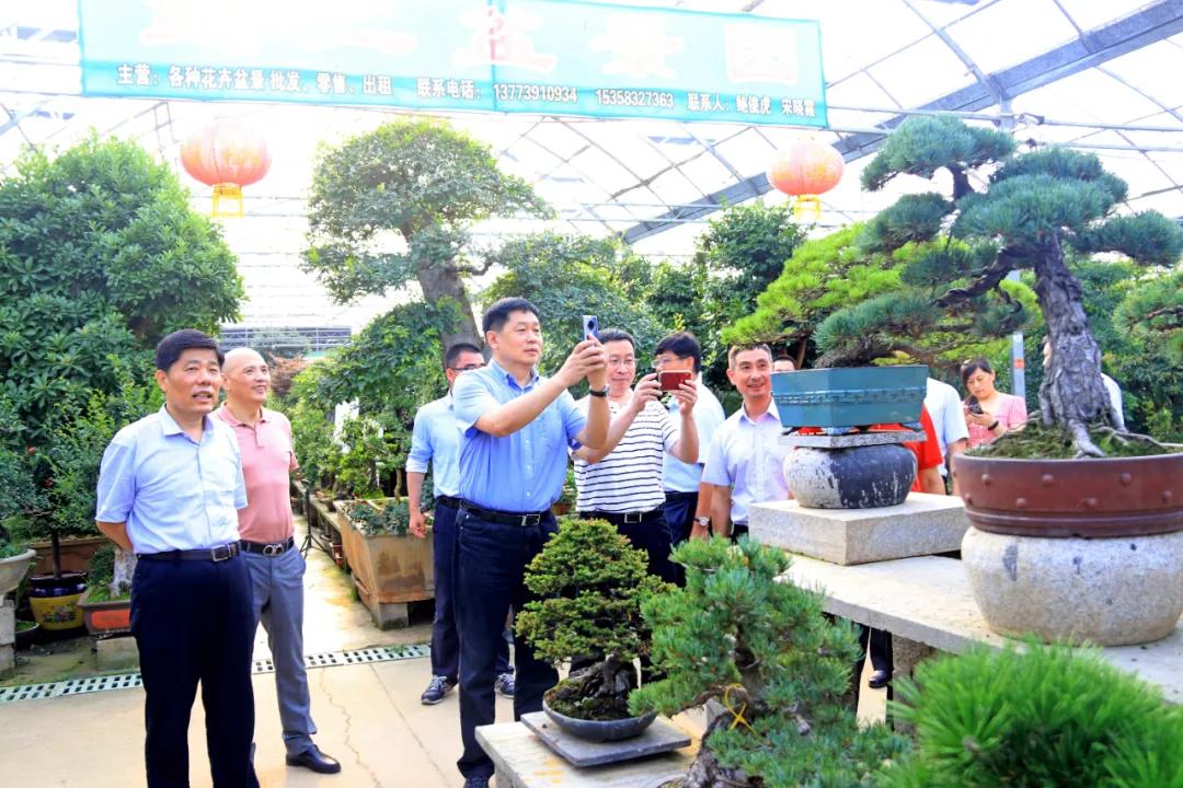 中国沭阳国际花木城在哪个城市,沭阳花木城的发展