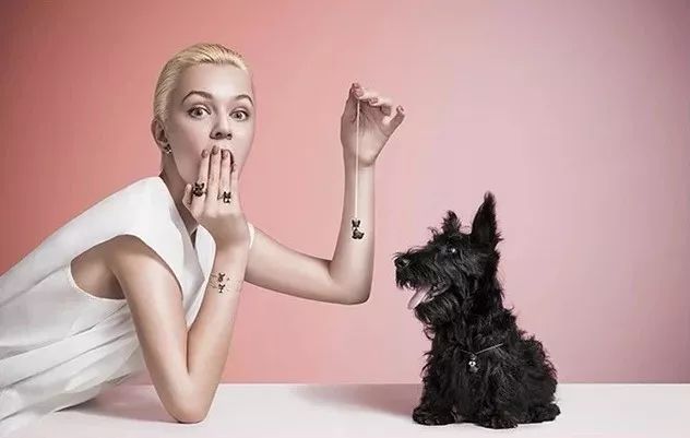 施华洛世奇手链女轻奢小众,小众饰品项链施华洛世奇