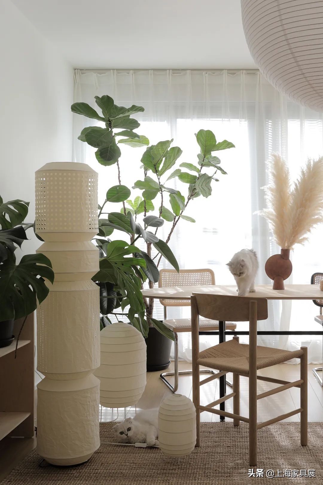 房屋设计师改造房间,家居设计师改造屋