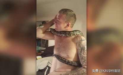 宠物蛇什么情况袭击人,宠物蛇吃活食会有攻击性吗