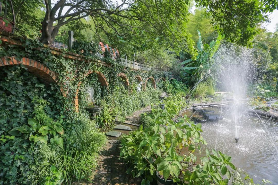一个安徽爷爷，花1万块种出5000㎡私家花园，被评为中国最美