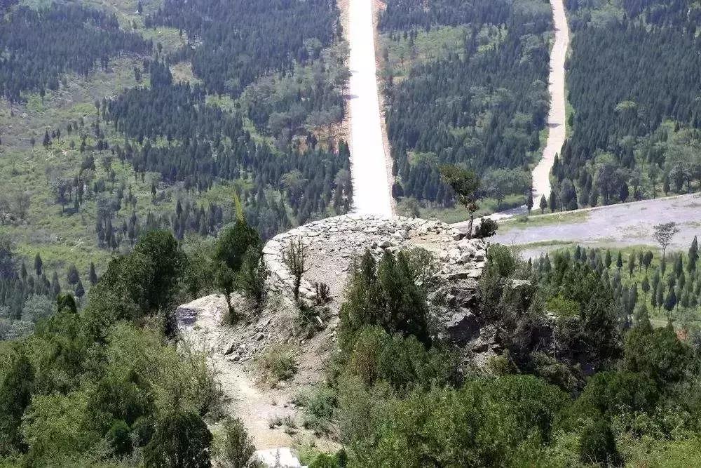 在户外迷路时最好的做法,野外迷路怎么办小技巧