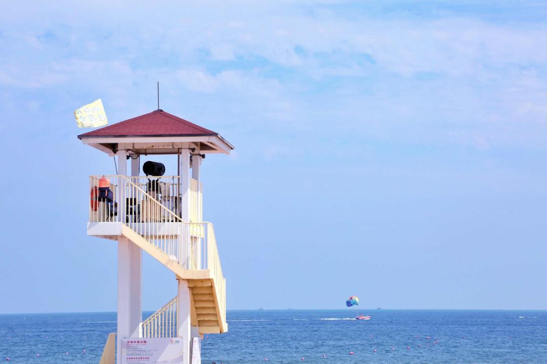 海滨老城泡桐花 (海滨老城紫色泡桐花)