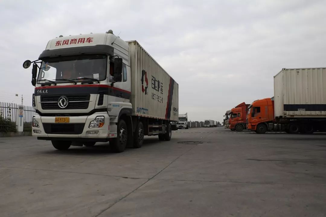 开车要修炼到什么程度才算合格？老司机们拿蚂蚁做比喻，我很意外