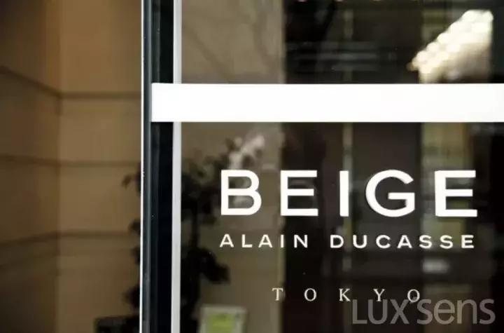 chanel新品饺子包,chanel推荐大包