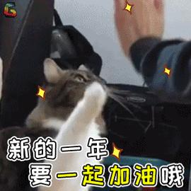 怎么缓解猫受惊,如何缓解猫生气
