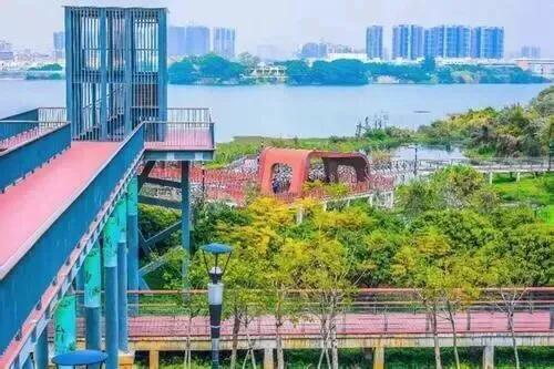 深圳免费公园适合儿童,深圳免费公园哪里最好啊