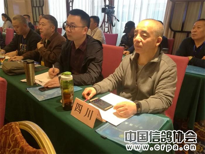 中国信鸽协会各地鸽会,惠州市信鸽协会电话