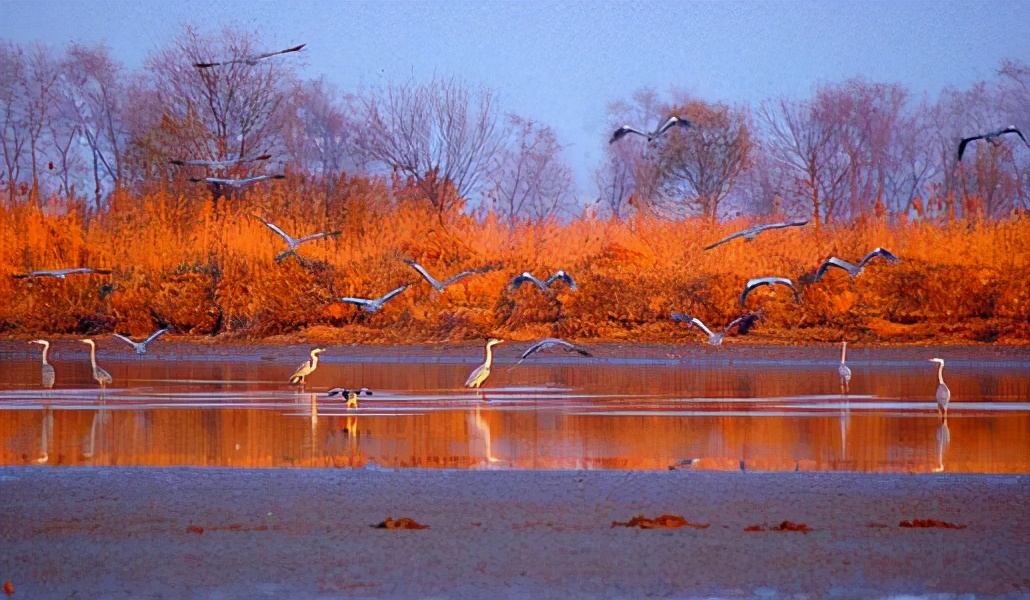 飞天奖衡水举行,飞天奖在衡水举办原因