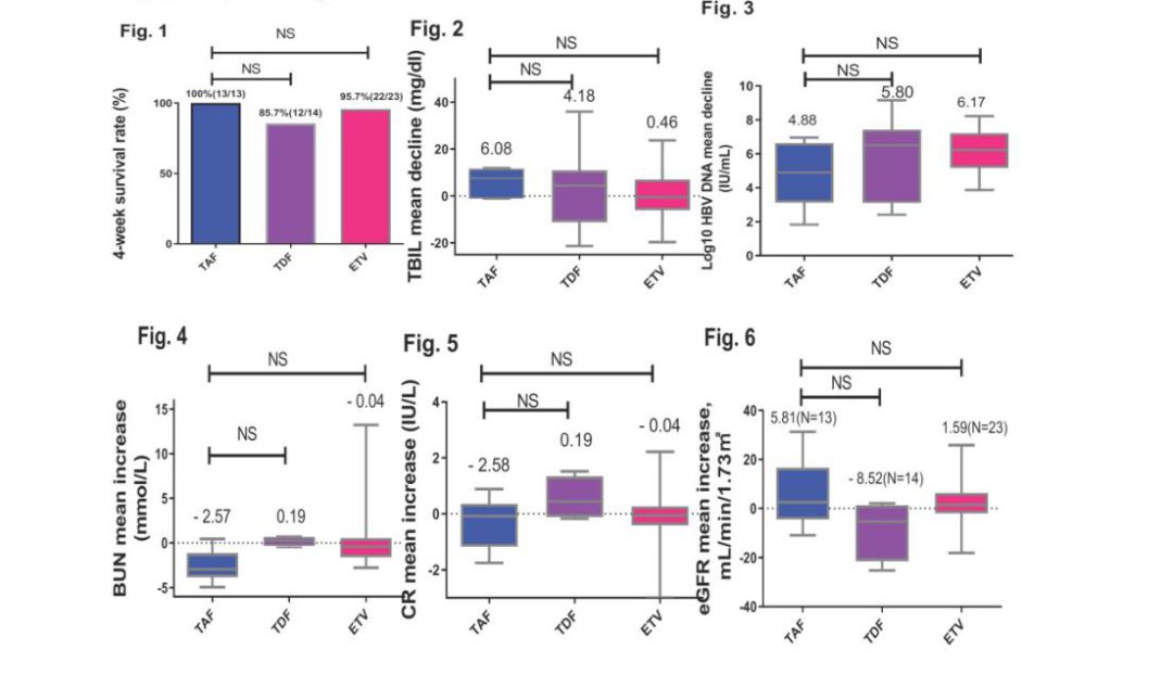 taf替诺福韦导致肝纤维化 (丙酚替诺福韦能治疗乙肝肝硬化吗)