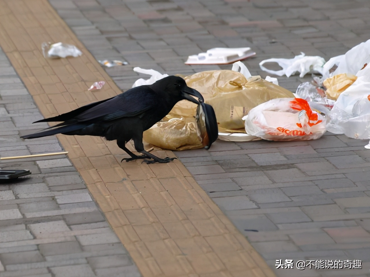 一物降一物治婆婆,一物降一物日本