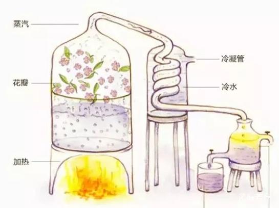 纯露是坑吗,你真的认识橙和柑吗