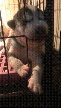 女朋友很漂亮但是有狐臭,女友有轻微狐臭怎么办啊