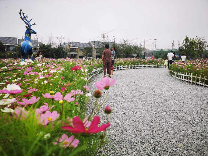 日照最美海边攻略,日照海滩自驾游推荐